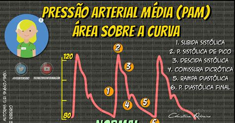 Terminologia Da Pressão Arterial Modisedu