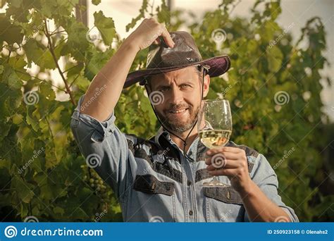 Happy Viticulturist Man Farmer Drink Wine At Grape Farm Vineyard Owner