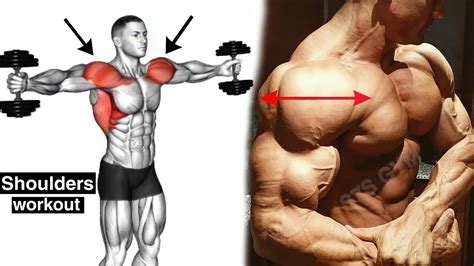 Best Shoulder Exercises To Build Muscle Youtube