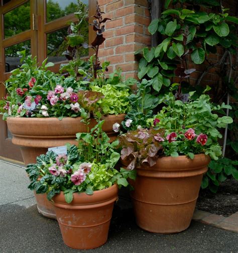 Create Your Own Horticultural Therapy Containers At Home My Chicago