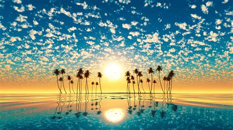 Palm Trees Reflection Sunset 4k Trees Wallpapers Sunset