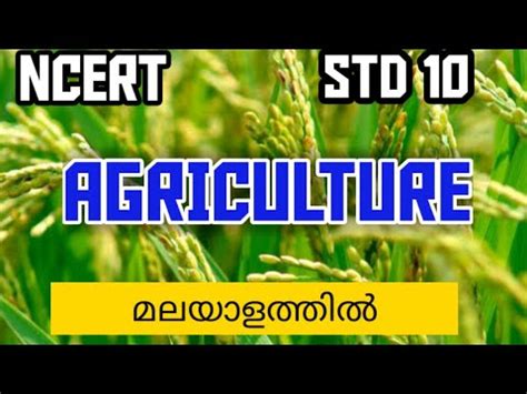 Pazhamchollukal in malayalam proverbs malayalam proverbs for മലയാളം. CBSE Class 10 Geography chapter 4 Agriculture part 3 /CBSE ...