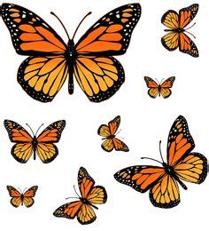 These coloring pages depict the butterflies in various shapes and sizes; Butterfly monarch | Butterfly drawing, Butterfly coloring ...