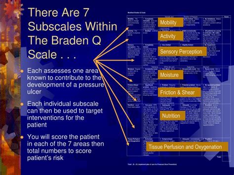 Ppt Learning Best Practice Skin Care Pressure Ulcer Risk Assessment