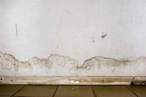 How To Treat Damp Walls In Your Home Chill