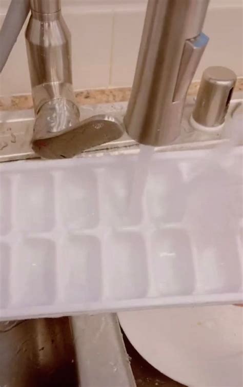 Genijalan Trik Kako Da Napunite Posudu Za Led A Da Ne Isprskate Vodom