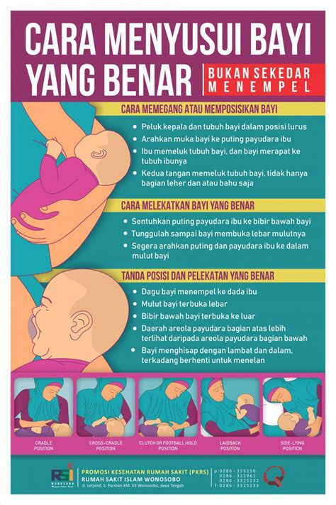 Cara Menyusui Bayi Yang Benar Rumah Sakit Islam Wonosobo