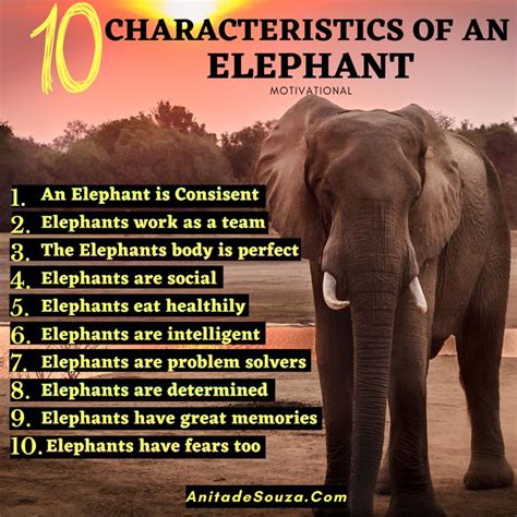 The Characteristics Of An Elephant Elephant Motivational Leadership Motivation Elephant