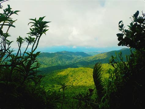 The Only Tropical Rainforest In The Us Forest Service El Yunque Is