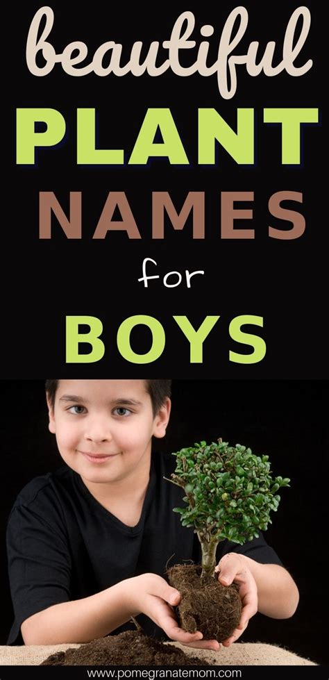 Plant Names For Boys Inspired By Flowers Trees Herbs Nature Inspired