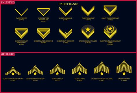 Army Cadet Rank Insignia Images And Photos Finder