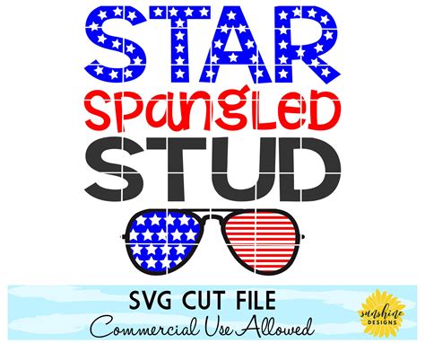 Fourth of July SVG, 4th of July SVG, Star Spangled Stud svg, America