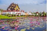 Images of Chiang Mai Meditation Retreats