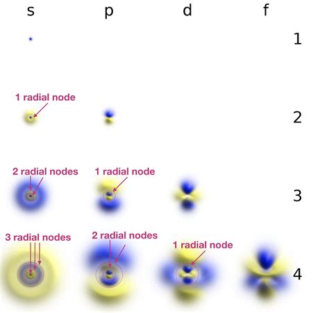 Antoine the exotic, complex f orbital shapes are the simple names s orbital, p orbital, d orbital and f orbital refer to orbitals with angular momentum quantum number and respectively. 0.1.1: Review of Orbital Shapes - Chemistry LibreTexts