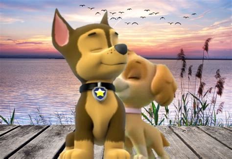 Chase And Skye Skye And Chase Paw Patrol Photo 40463618 Fanpop