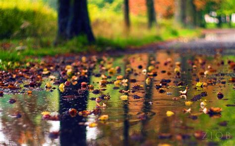 Autumn Rain Wallpapers Top Free Autumn Rain Backgrounds Wallpaperaccess