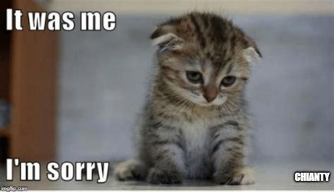 Sorry Lolcats Lol Cat Memes Funny Cats Funny Cat Pictures