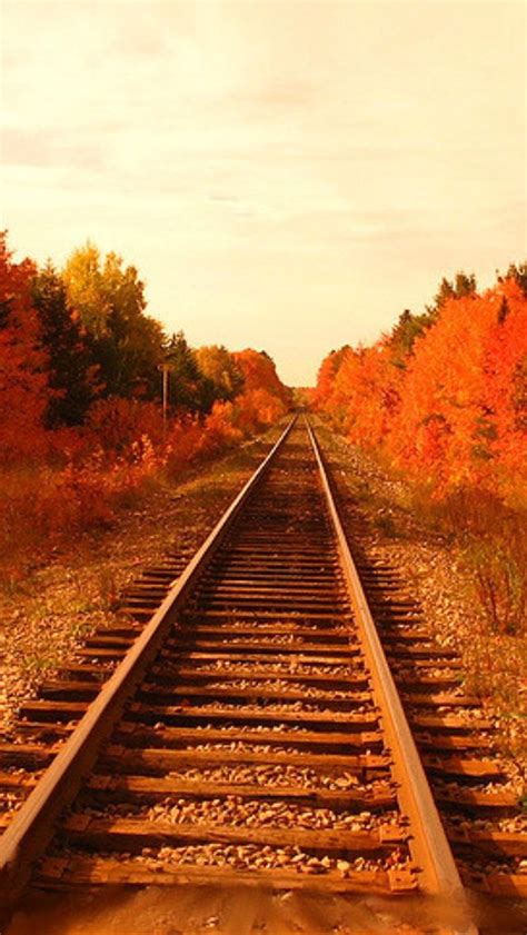 Autumn Tracks Source Railroad Track Pictures Train Tracks