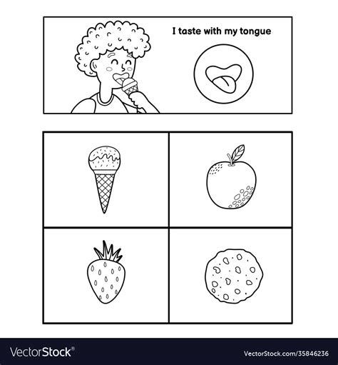 Five Senses Poster Taste Sense Presentation Page Vector Image