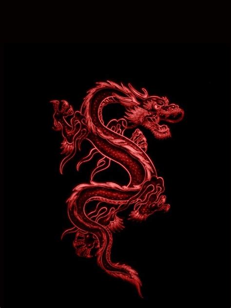 Snake Red Dragon Aesthetic Wallpaper Goimages Portal