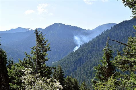 Weather olympic national park december. Cooler weather keeps Olympic National Park fires from ...