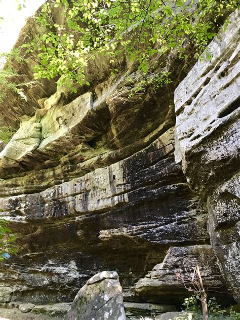 Rim Rock (37) | Shawnee national forest, Day trips, Outdoor adventure