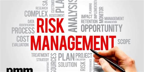 Crisis management involves dealing with crises in a manner that minimizes damage and enables the affected organization to recover quickly. PMO risks and issues - PM Majik