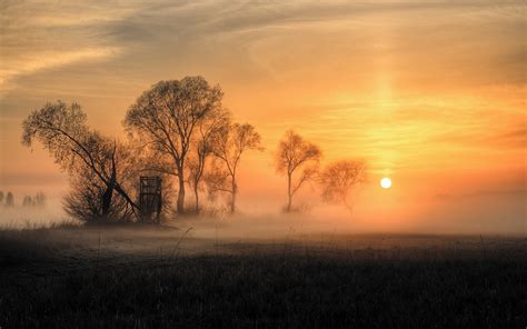 Nature Landscape Sunrise Field Mist Trees Grass Clouds Gold