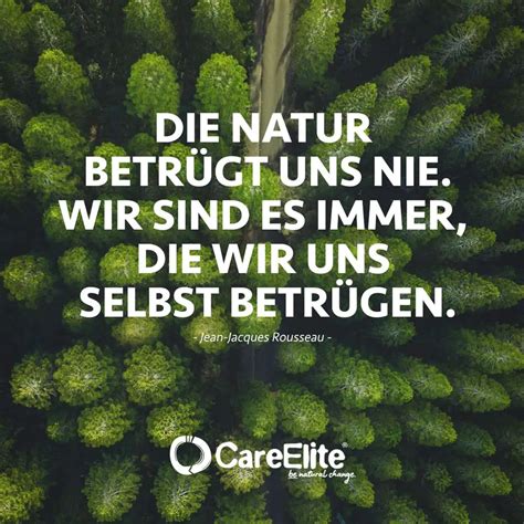 67 Umweltschutz Zitate Nachhaltigkeit Spruche Careelite Dumbledore