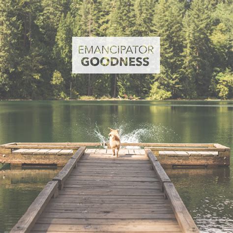 Goodness (Single) | emancipator