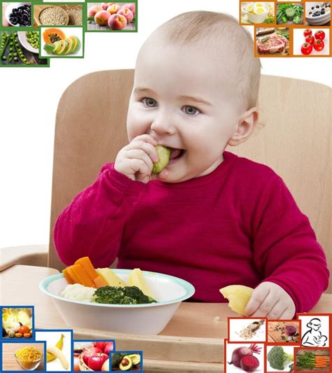 Top 30 Healthy Baby Foods
