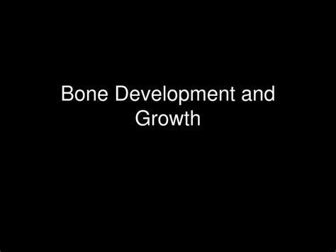 Ppt Bone Development And Growth Powerpoint Presentation Free