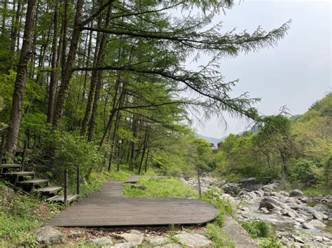 국립공원 치악산 금대야영장 에코힐링 계곡 캠핑장 사이트 네이버 블로그