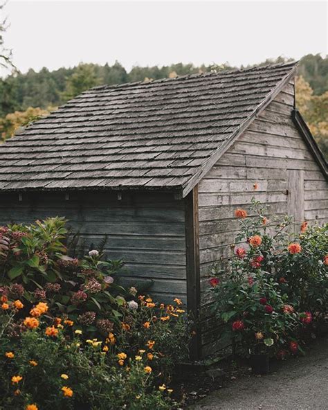 Kelly Brown On Instagram Flowers Taking Over This Little Cedar Shake