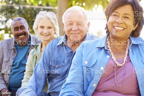 Outdoor Group Portrait Of Senior Friends Stock Photo Download Image