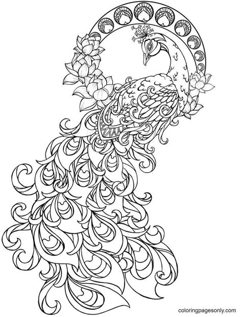beautiful peacock 2 coloring page free printable coloring pages
