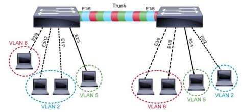 Vlan And Trunk The Basic Working Principle The Ultimate Goal For Ccna