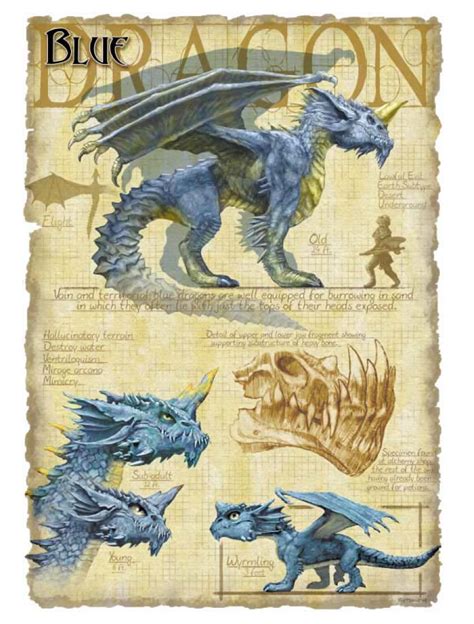 Blue Dragon Dandd Dragon Art Dragon Artwork Fantasy Dragon