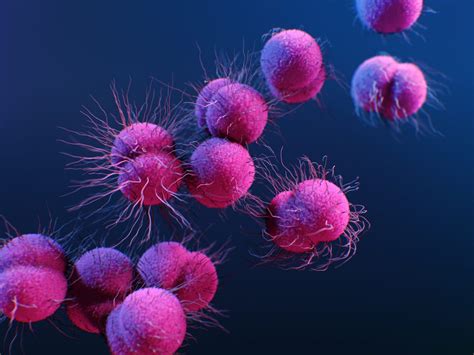 A Man Contracted A New Antibiotic Resistant Super Gonorrhea Strain After Having Sex On An