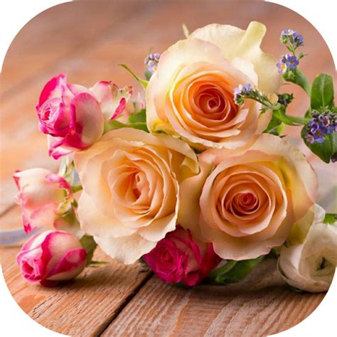 Submit your application images and bouquets responded great many pictures and backgrounds for all types of roses. باقات ورد مميزة on Google Play Reviews | Stats
