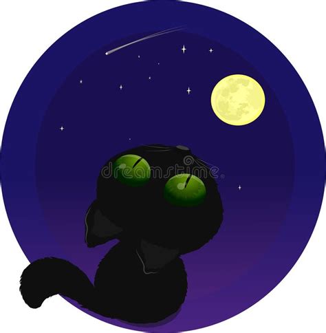 Black Cat On The Moon Stock Vector Illustration Of House 97972170