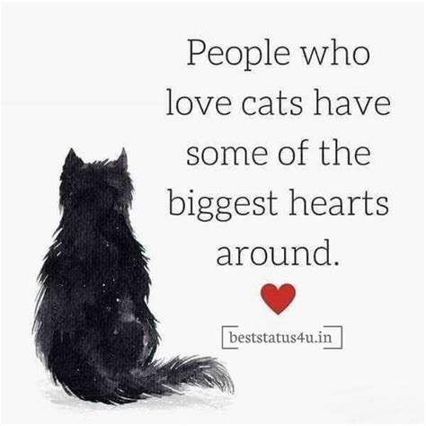 100 Best Quotes For Cat Lovers Adorable Whatsapp Status For Cats