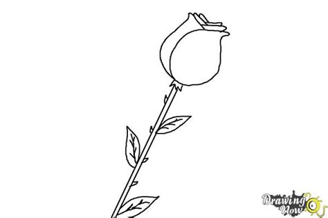 Roses are beautiful flowers to draw but they can be a bit complex to tackle and. How to Draw a Rose For Kids - DrawingNow