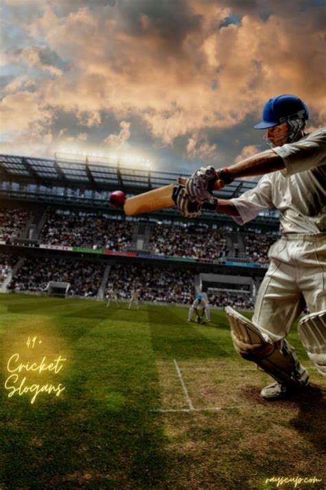 49 Creative Cricket Slogans To Make Your Team Stand Out