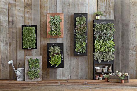How To Create Your Own Vertical Garden Installation