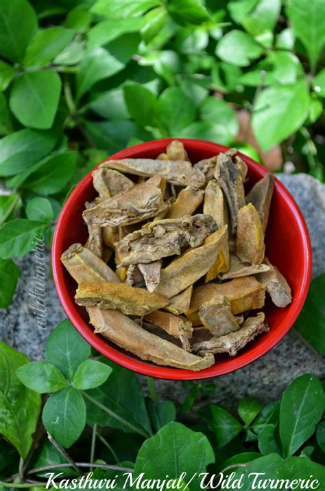 Bipha ayurveda kasthuri manjal enriched with botanical extracts makes your skin smooth, soft, and supple. 5 Beauty Benefits & Uses Of Kasthuri Manjal (Kasturi ...