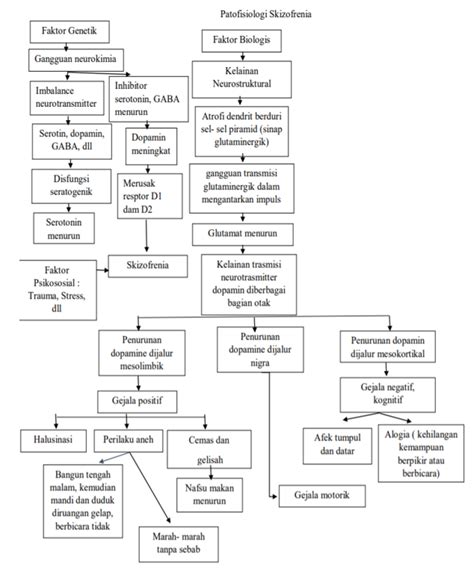 Skizofrenia Final Concept Map Patofisiologi Etiologi Dll Dokteroce
