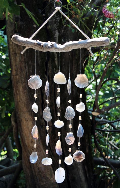 Driftwood Seashell Wind Chimes Handmade One Of A Kind Wind Etsy