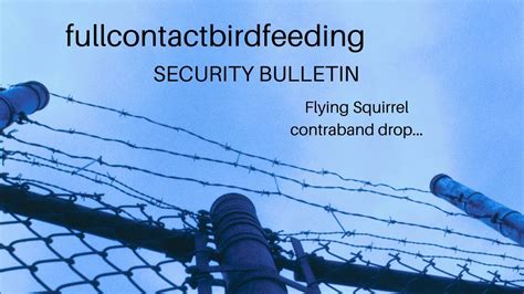 Full Contact Bird Feeding Part 5 Code Blue Flying Squirrel Drug