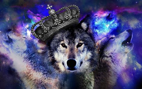 A collection of the top 41 super cool wolf wallpapers and backgrounds available for download for free. Cool Blue | Anime wolf girl, Wolf wallpaper, Anime wolf